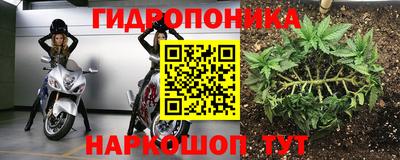 спиды Моздок