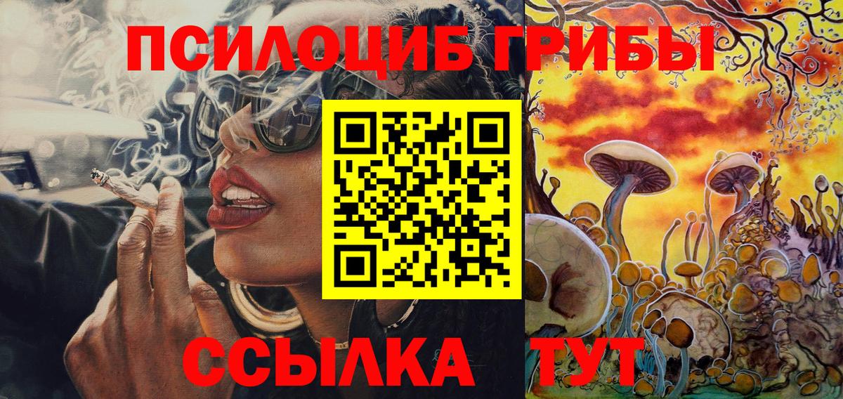 Галлюциногенные грибы Psilocybine cubensis  Вход с VPN  наркошоп  Сокол 